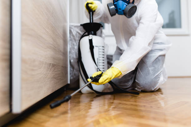 Best Ant Control Services  in Wellington, OH