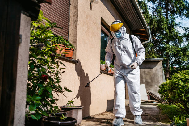 Best Rat Extermination Near Me  in Wellington, OH