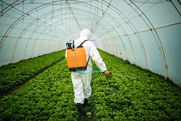 Best Best Pest Control Companies  in Wellington, OH