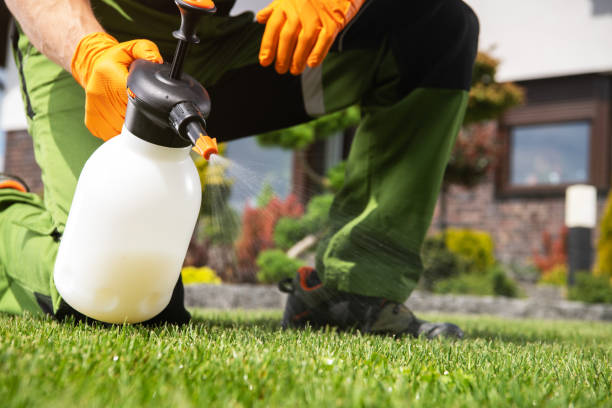 Pest Prevention Services in Wellington, OH