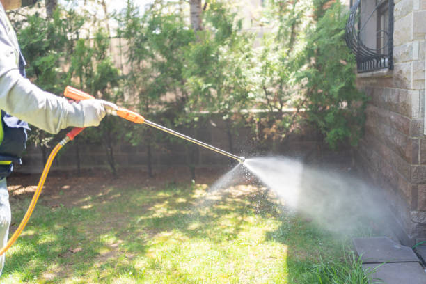 Best Local Pest Control Services  in Wellington, OH