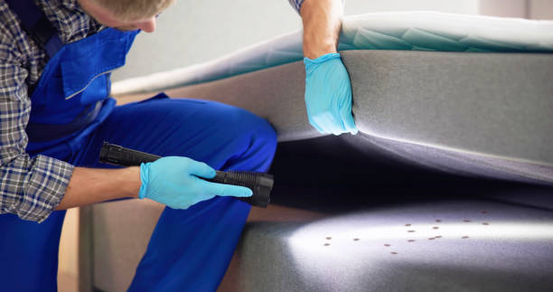 Best Best Pest Control Companies  in Wellington, OH