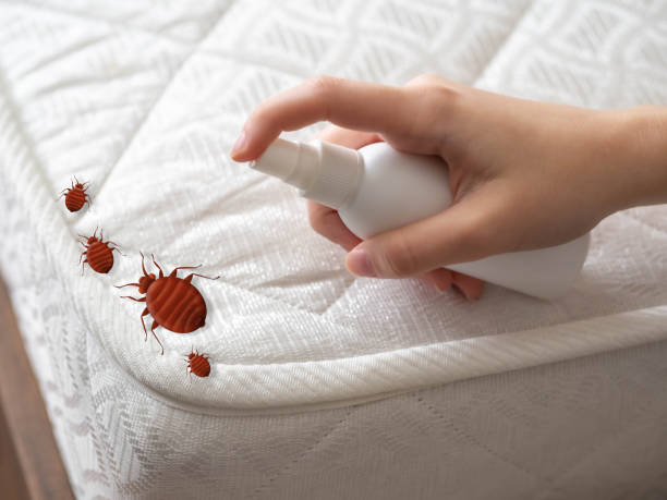Best Affordable Pest Control Services  in Wellington, OH